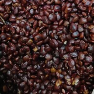 Tamarind Seeds